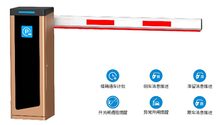 1709700286182154.jpg 1.jpg